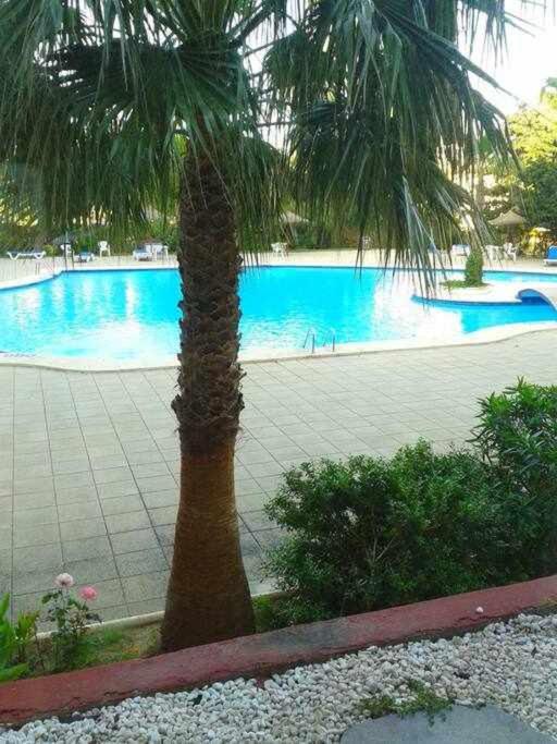 Piso Moderno Con Piscina Siesta 2 Apartment Port de Alcudia  Exterior photo